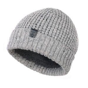 NWT Sherpa lined beanie